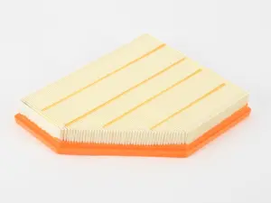 Air Filter - Insert