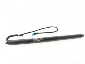 Genuine BMW Hatch Shock - Gas Pressurized Support - F25 X3