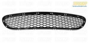 Genuine BMW Lower bumper grill - center