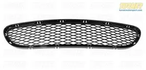 Genuine BMW Lower bumper grill - center