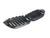 Genuine BMW FRONT ORNAMENTAL GRILLE 51115A1BFB0 View 4