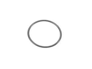 Bosch O-Ring 