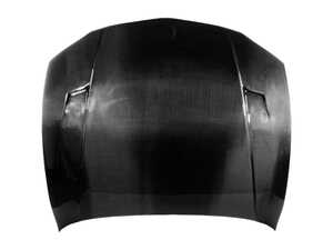 Suvneer RZ Designed Carbon Fiber Hood - E82
