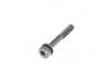 Genuine MINI SCREW 07147162465 View 1