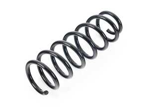 Rear Spring - BMW X3 XDrive (F25/F26)