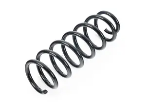 Rear Spring - BMW X3 XDrive (F25/F26)