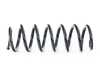 Bilstein Bilstein OE Replacement Springs 36-294442 View 3