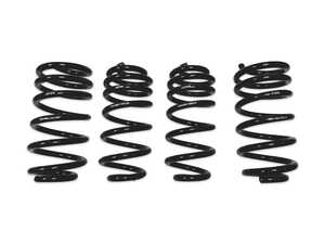 Dynamic+ Lowering Springs