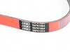 ECS ECS Tuning Performance Kevlar Reinforced Accessory Belt - A/C - BMW M5 M6 S85 6PK1084 View 2