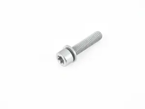Genuine BMW Isa Screw - 07129905555 - E70 X5
