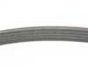 ECS ECS Tuning Performance Kevlar Reinforced Accessory Belt -  BMW M50/52 S52 5PK906 View 3
