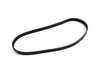 Continental OEM Continental A/C Belt - E36 E34 E39 - M52/S52 6 Cylinder 11281437873 View 1
