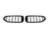 AUTOTECKNIC AUTOTECKNIC Glazing Black Dual-Slat Front Grille Set - G29 Z4 ATK-BM-0611-DS-G View 1
