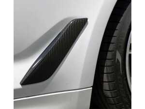 Autotecknic Dry Carbon Fiber Fender Trim - G30 5-Series