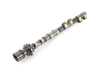 Genuine BMW Genuine BMW Camshaft Exhaust Zyl.1-4 - 11317841166 - E90,E92,E93 11317841166 View 1