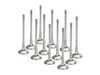 Supertech Supertech Single Groove Exhaust Valve - Set Of 12 BMEVI-1055S-HS-1 View 1