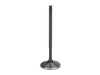 Supertech Intake Valve - Black Nitride BMIVN-1054S View 1