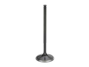 Intake Valve - Black Nitride