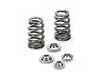 Supertech Conical Spring Kit - Set Of 24 SPRKFE20N54BE2 View 1