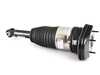 Genuine BMW Genuine BMW Air Spring Strut - Rear Left - 37106872967 37106872967 View 1