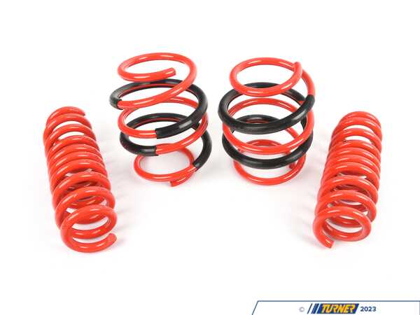 AST Suspension Lowering Springs (60mm/60mm) - 1975-1982 BMW 3 Series 315/316/318/320/323i (E21) main image 1