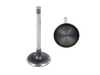 TRW TRW Intake Valve - Sold Each - E28, E30, E34 11341708895 View 1