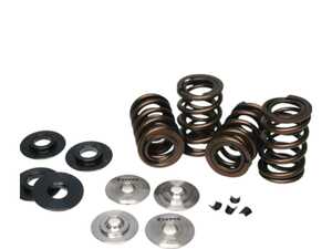 Ferrea High Performance Valve Spring Kit - S58