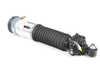 Genuine BMW Genuine BMW Air Spring Strut, Rear Right - 37126858814 37126858814 View 1