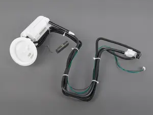 In-Tank Fuel Pump