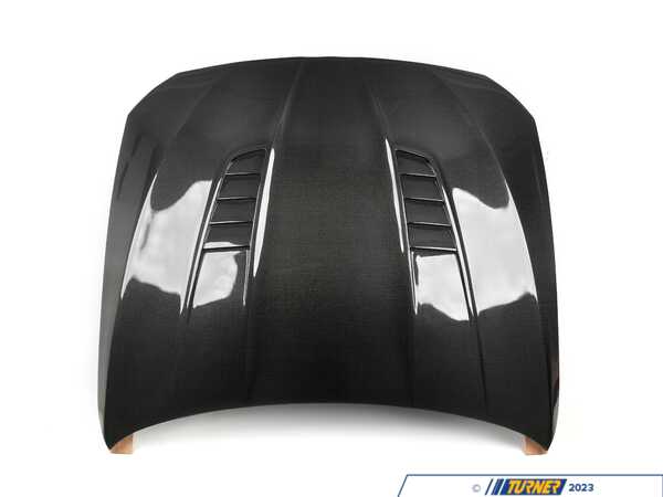 Agency Power Carbon Fiber DTM Style Hood  - (NO LONGER AVAILABLE) AP-F10M5-620