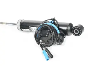 Genuine BMW Shock Absorber - E70 X5