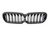 Genuine BMW M Performance BMW M Performance Carbon Front Ornamental Grille 51712469540 View 1