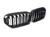 Genuine BMW M Performance BMW M Performance Carbon Front Ornamental Grille 51712469540 View 2