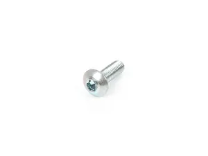 TORX BOLT