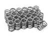 Supertech Supertech High Performance Valve Spring Set - E36 M3, 325i, 328i - Titanium Retainers SPRK-H1000DBM View 7