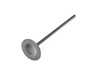 Supertech Intake Valve - Black Nitride - Oversize BMIVN-1054S-1 View 2