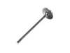 Supertech Intake Valve - Black Nitride - Oversize BMIVN-1054S-1 View 3