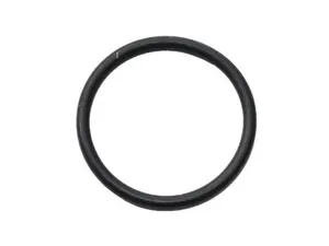 Fuel Injector O-Ring