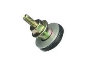 Cap Nut M6 - 11121738608 - E34,E36,E39,E46,E53,E83,E85