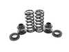 BC Racing BC Racing BR Series Coilover Suspension Kit - 5-Bolt Top Mounts - 2015-2018 F80 M3, F82 M4 I-68-BR View 7
