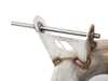 AWE AWE Touring Edition Axle Back Exhaust - Chrome Silver Tips (90mm) F3X 340/440 3010-32032 View 8
