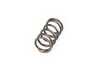 Cat Cams Cat Cams Competition Valve Spring - Priced Each PAC-I92009 View 4