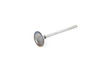Intake Valve - Priced Each