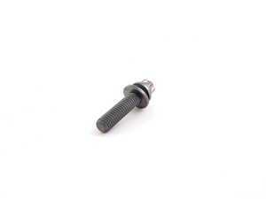 Genuine BMW Torx Bolt - 07129905569