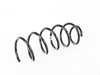 Genuine BMW Genuine BMW Front Coil Spring - 31336867118 31336867118 View 1
