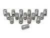 Supertech MINI W10 W11 Performance Valve Springs Kit - Single Groove SPRK-HM1007BE/MC2  SPR-HM1007BE/MC2
 SPRK-HM1007BE/MC View 1