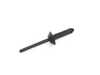 Genuine BMW BLIND COMPRESSION RIVET 51755A383B7 View 1