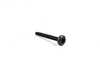 Genuine MINI Genuine MINI Torx Bolt St4,2 X 52mm - 51417040559 51417040559 View 1