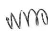Genuine BMW Genuine BMW Front Coil Spring 31336790102 View 1
