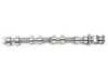 Genuine BMW Genuine BMW Inlet Camshaft 11317604875 View 1